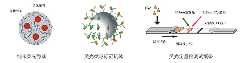 漲殼式預(yù)應(yīng)力中空注漿錨桿